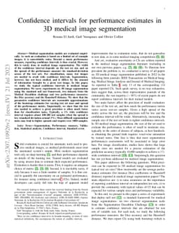 Confidence Intervals for Performance Estimates in Brain MRI Segmentation