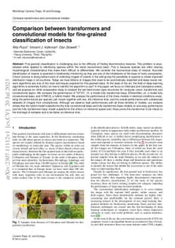 Comparison between transformers and convolutional models for
  fine-grained classification of insects