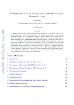 Convergence of SGD for Training Neural Networks with Sliced Wasserstein
  Losses