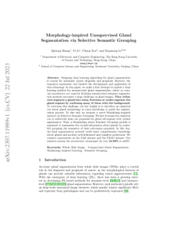 Morphology-inspired Unsupervised Gland Segmentation via Selective
  Semantic Grouping