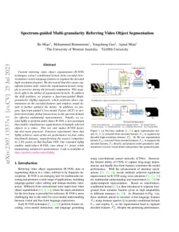 Spectrum-guided Multi-granularity Referring Video Object Segmentation