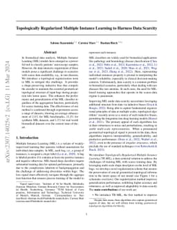 Topologically Regularized Multiple Instance Learning to Harness Data
  Scarcity