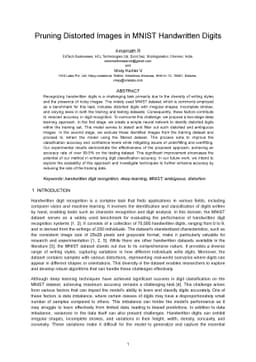 Pruning Distorted Images in MNIST Handwritten Digits