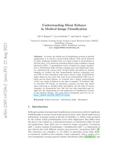 Understanding Silent Failures in Medical Image Classification