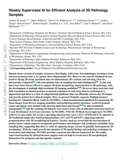 Weakly Supervised AI for Efficient Analysis of 3D Pathology Samples