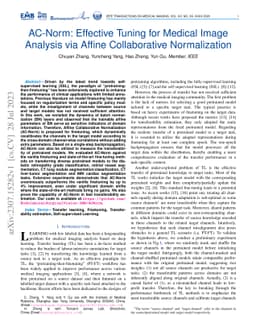 AC-Norm: Effective Tuning for Medical Image Analysis via Affine
  Collaborative Normalization