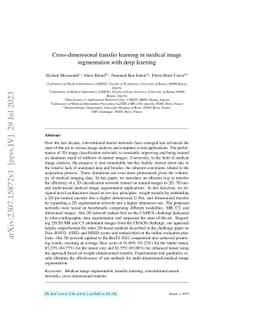 Cross-dimensional transfer learning in medical image segmentation with
  deep learning