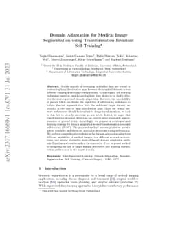 Domain Adaptation for Medical Image Segmentation using
  Transformation-Invariant Self-Training
