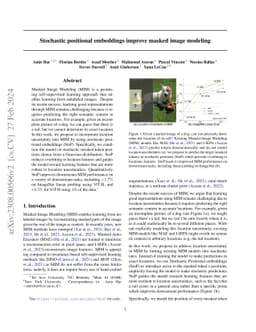 Stochastic positional embeddings improve masked image modeling