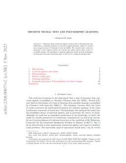 Discrete neural nets and polymorphic learning