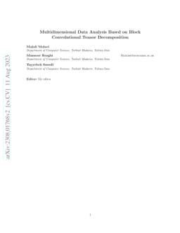 Multidimensional Data Analysis Based on Block Convolutional Tensor
  Decomposition