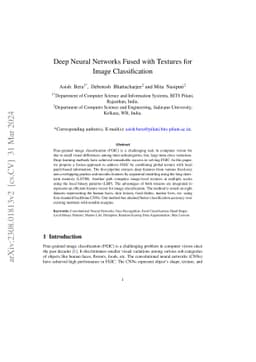 Deep Neural Networks Fused with Textures for Image Classification