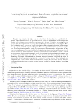Learning beyond sensations: how dreams organize neuronal representations