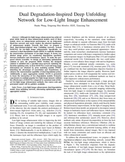 Dual Degradation-Inspired Deep Unfolding Network for Low-Light Image Enhancement