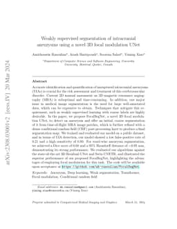 Weakly supervised segmentation of intracranial aneurysms using a novel
  3D focal modulation UNet