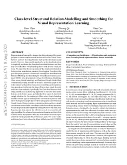 Class-level Structural Relation Modelling and Smoothing for Visual
  Representation Learning