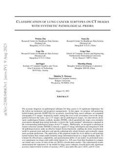 Classification of lung cancer subtypes on CT images with synthetic
  pathological priors