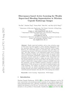 Discrepancy-based Active Learning for Weakly Supervised Bleeding
  Segmentation in Wireless Capsule Endoscopy Images