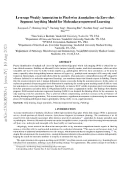 Leverage Weakly Annotation to Pixel-wise Annotation via Zero-shot
  Segment Anything Model for Molecular-empowered Learning