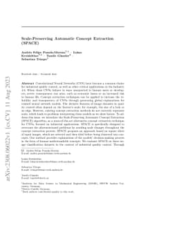 Scale-Preserving Automatic Concept Extraction (SPACE)