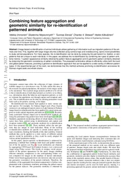 Combining feature aggregation and geometric similarity for
  re-identification of patterned animals