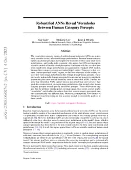 Robustified ANNs Reveal Wormholes Between Human Category Percepts