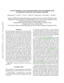Teeth And Root Canals Segmentation Using ZXYFormer With Uncertainty
  Guidance And Weight Transfer