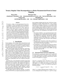 Ternary Singular Value Decomposition as a Better Parameterized Form in
  Linear Mapping