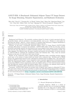 AATCT-IDS: A Benchmark Abdominal Adipose Tissue CT Image Dataset for
  Image Denoising, Semantic Segmentation, and Radiomics Evaluation