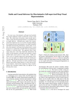 Stable and Causal Inference for Discriminative Self-supervised Deep
  Visual Representations