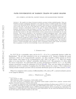 Path convergence of Markov chains on large graphs
