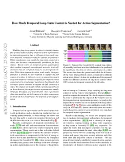 How Much Temporal Long-Term Context is Needed for Action Segmentation?