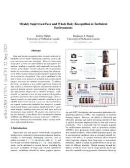 Weakly Supervised Face and Whole Body Recognition in Turbulent
  Environments