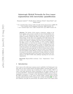 Anisotropic Hybrid Networks for liver tumor segmentation with
  uncertainty quantification