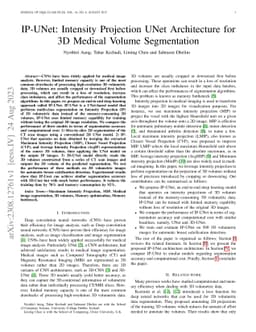 IP-UNet: Intensity Projection UNet Architecture for 3D Medical Volume
  Segmentation