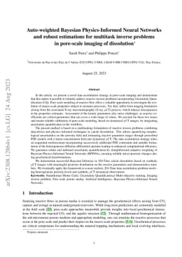 Auto-weighted Bayesian Physics-Informed Neural Networks and robust
  estimations for multitask inverse problems in pore-scale imaging of
  dissolution