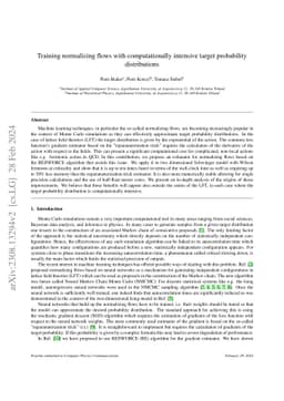 Training normalizing flows with computationally intensive target
  probability distributions