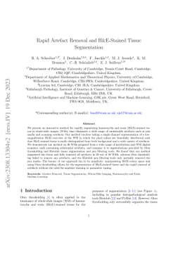 Rapid Artefact Removal and H&E-Stained Tissue Segmentation