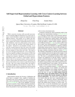 Self-Supervised Representation Learning with Cross-Context Learning
  between Global and Hypercolumn Features