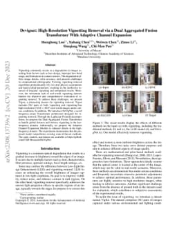 Devignet: High-Resolution Vignetting Removal via a Dual Aggregated
  Fusion Transformer With Adaptive Channel Expansion