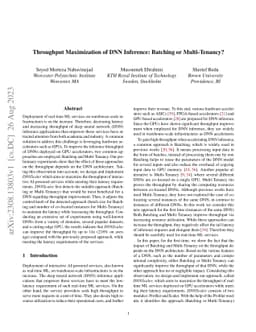 Throughput Maximization of DNN Inference: Batching or Multi-Tenancy?