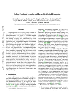 Online Continual Learning on Hierarchical Label Expansion