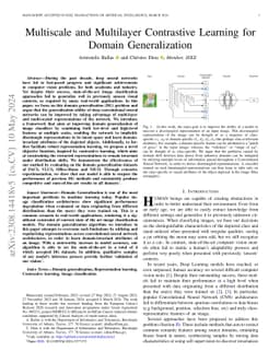 Multi-Scale and Multi-Layer Contrastive Learning for Domain
  Generalization