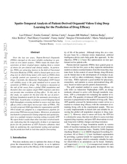 Spatio-Temporal Analysis of Patient-Derived Organoid Videos Using Deep
  Learning for the Prediction of Drug Efficacy