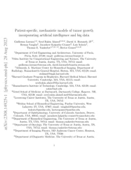 Patient-specific, mechanistic models of tumor growth incorporating
  artificial intelligence and big data