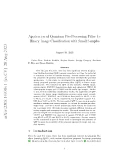 Application of Quantum Pre-Processing Filter for Binary Image
  Classification with Small Samples