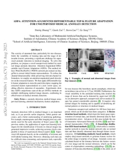 ADFA: Attention-augmented Differentiable top-k Feature Adaptation for
  Unsupervised Medical Anomaly Detection