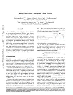 Deep Video Codec Control for Vision Models