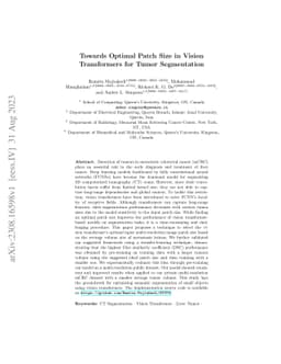 Towards Optimal Patch Size in Vision Transformers for Tumor Segmentation