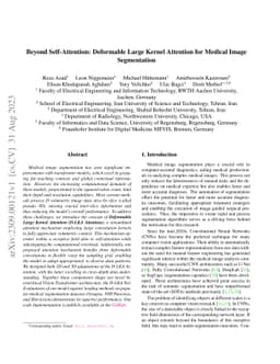 Beyond Self-Attention: Deformable Large Kernel Attention for Medical
  Image Segmentation